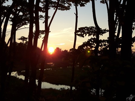 sunset, bye to summer